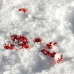 Школьника ранили на охоте в ЗКО: суд потребовал личного присутствия экспертов