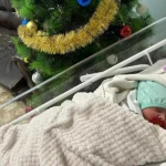 14 детей родились в новогоднюю ночь в ЗКО