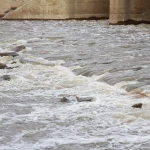 Сброс воды с Ириклинского водохранилища в Урал увеличился