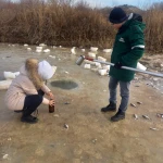 Массовый замор рыбы произошел в Атырауской области