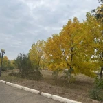 Прогноз погоды для жителей западного Казахстана на 22 сентября