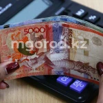 Бухгалтер акимата в ЗКО начисляла себе лишнюю зарплату