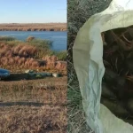 80 килограммов раков незаконно выловили двое жителей ЗКО