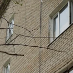 Пятилетний мальчик выпал из окна многоэтажки в Актобе
