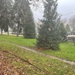 Туман ожидается в ЗКО