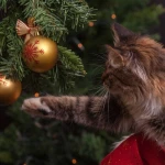 Сколько стоит новогодний корпоратив в Уральске