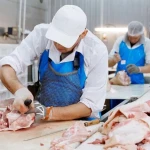 Казахстан упростит экспорт: с Китаем заработает «зелёный коридор» для пищевой продукции