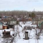 Сколько человек остались зимовать на дачах Уральска