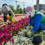 Оралда абаттандыру мен көгалдандыру үшін 400 млн теңге бөлінді