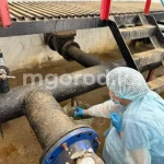 В затопленных районах Атырауской области проводят дезинфекцию