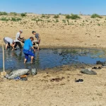 Мальки массово гибнут в Атырауской области