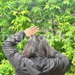 На нашествие мошек жалуются жители ЗКО
