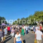 Ярмарка сельхозтоваров пройдёт в Уральске