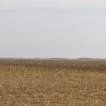 БҚО-да пайданылмаған жер телімдері мемлекет меншігіне қайтарылды