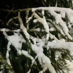 Усилие ветра ожидается в ЗКО