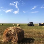 Об умышленном поджоге сена сообщают жители района ЗКО