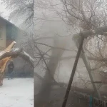 Без света и тепла оставило упавшее дерево жителей двухэтажки в Уральске