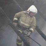 Семью пенсионеров убили и сожгли вместе с домом
