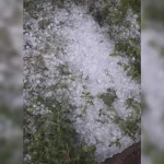 Дождь и град ожидаются в ЗКО