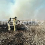 10 гектаров камыша горит на берегу Каспия в Атырауской области