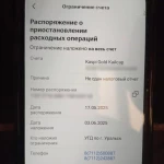 10-летнему ребёнку заблокировали счета из-за несдачи налоговой отчетности в Уральске