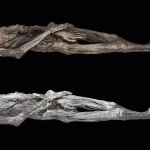 У «ледяной мумии» возрастом 2500 лет нашли поразительные татуировки 📷