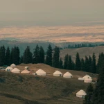 23 тысячи гектаров пастбищных земель не хватает в Уральске