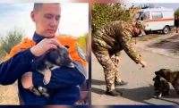 Спасатели и пожарные ЗКО накормили собак и почистили им вольеры