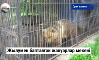 Жылумен бапталған жануарлар мекені