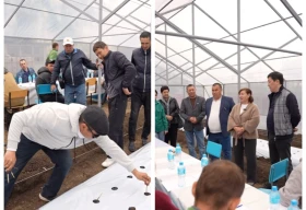 Первую теплицу в рамках проекта Batys AgroHub открыли в Бурлинском районе