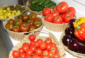 Ярмарка сельхозпродукции пройдет в Уральске 27 и 28 сентября