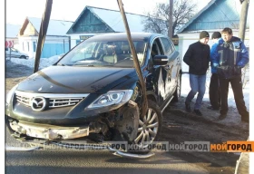 В Уральске пятый день отлавливают собаку, которая прокусила ногу девочки до кости