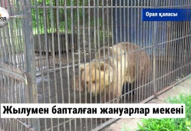 Жылумен бапталған жануарлар мекені