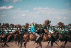 AGROFEST – 2025  ВНОВЬ СОБИРАЕТ КОЛЛЕГ И ДРУЗЕЙ