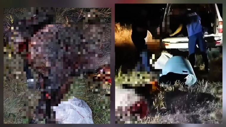 В Уральске задержали браконьера с тушами кабанов