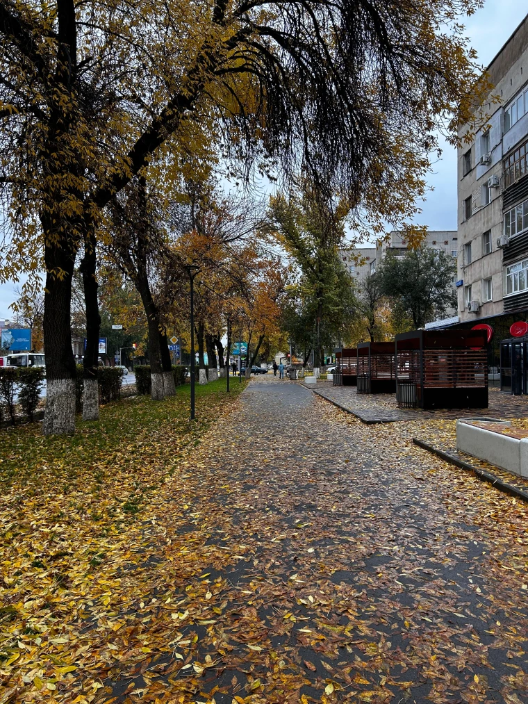 Прогноз погоды для жителей ЗКО на 21 октября | Мой Город Прогноз погоды для жителей ЗКО на 21 октября