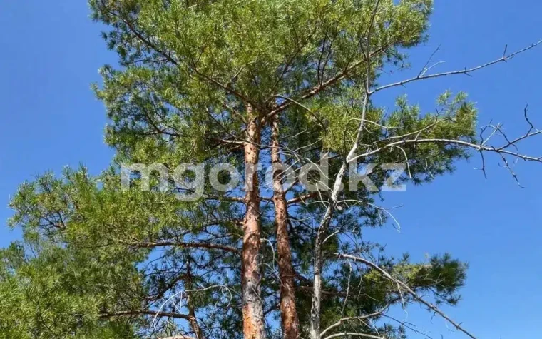 Жаркая погода сохранится в ЗКО | Мой Город Жаркая погода сохранится в ЗКО