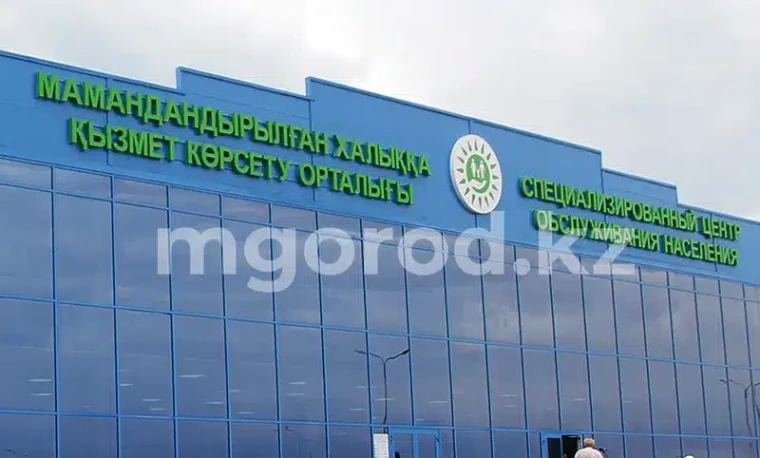Новая услуга появилась в мобильном приложении «ЦОН»