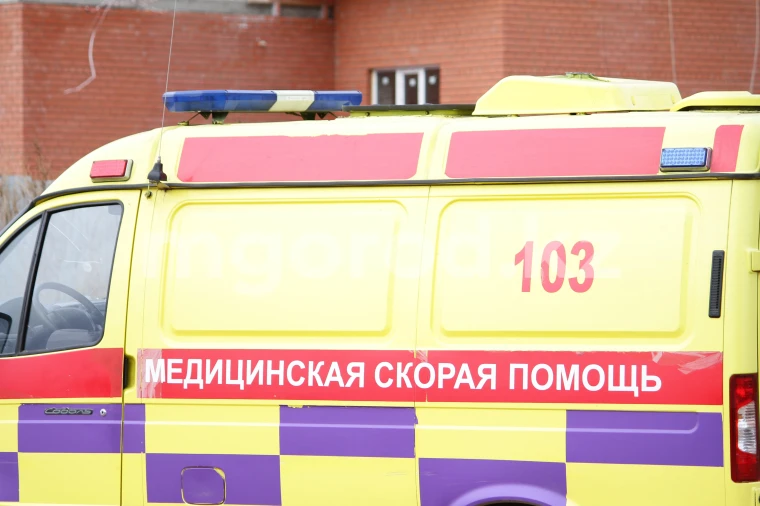 14-летний мотоциклист врезался в верблюда в Атырауской области | Мой Город 14-летний мотоциклист врезался в верблюда в Атырауской области