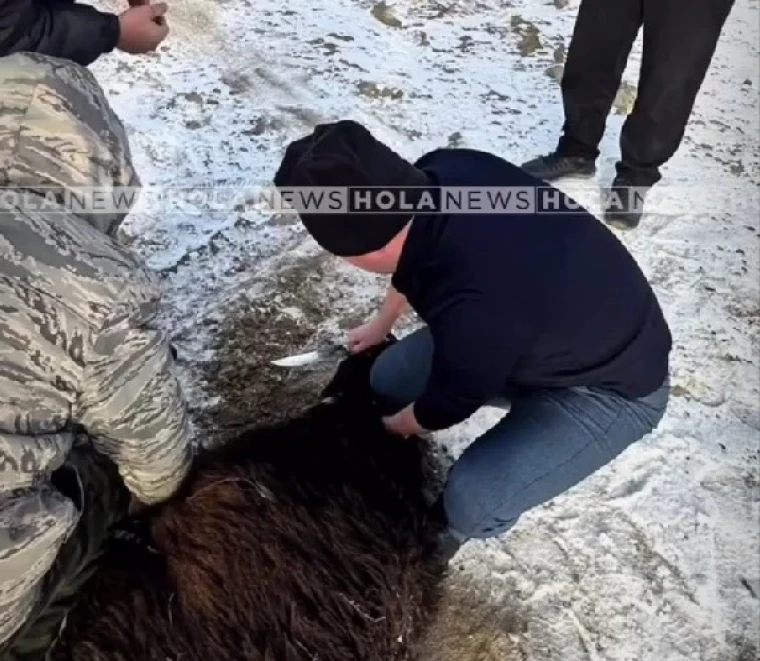 Полицейские Атырауской области устроили жертвоприношение для безопасности на дорогах | Мой Город Полицейские Атырауской области провели обряд жертвоприношения от ДТП