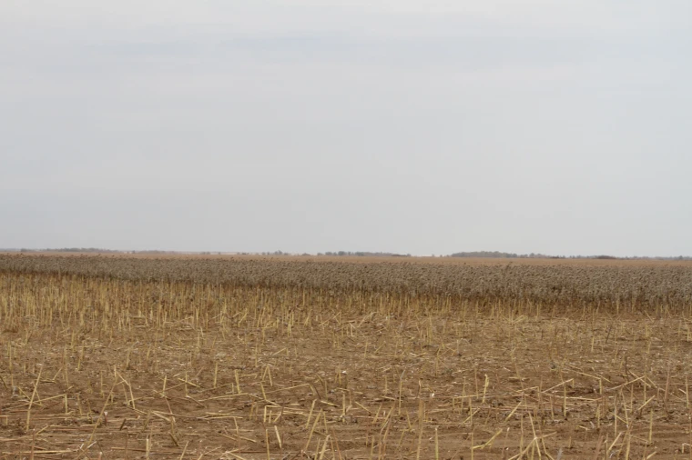 БҚО-да пайданылмаған жер телімдері мемлекет меншігіне қайтарылды | Мой Город БҚО-да пайданылмаған жер телімдері мемлекет меншігіне қайтарылды