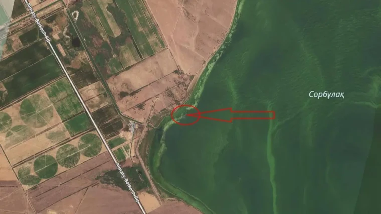Найдены обломки пропавшего военного вертолёта в Алматинской области