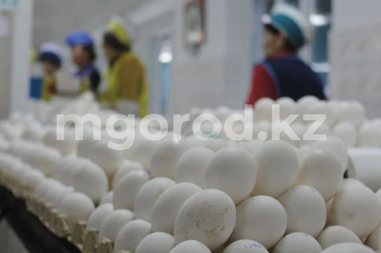 По какой цене отпускают продукты из Стабфонда ЗКО