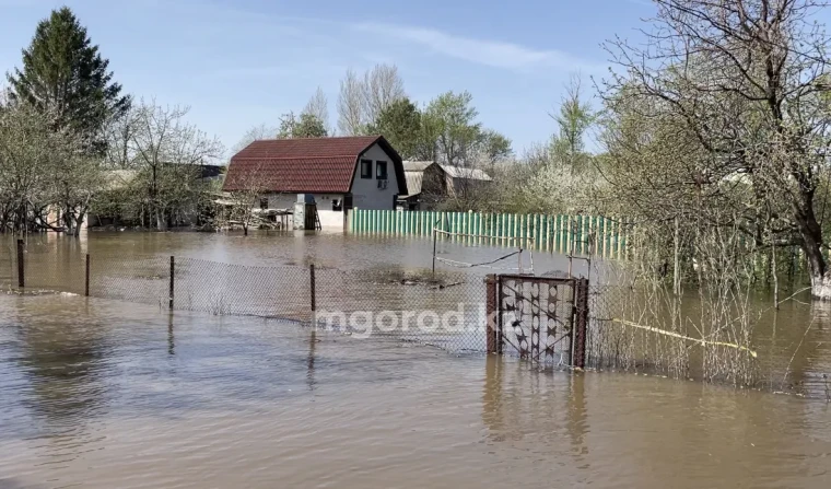 Не давайте нам ложных обещаний: в акимат пришли жители затопленных дачных обществ | Мой Город Не давайте нам ложных обещаний: в акимат пришли жители затопленных дачных обществ
