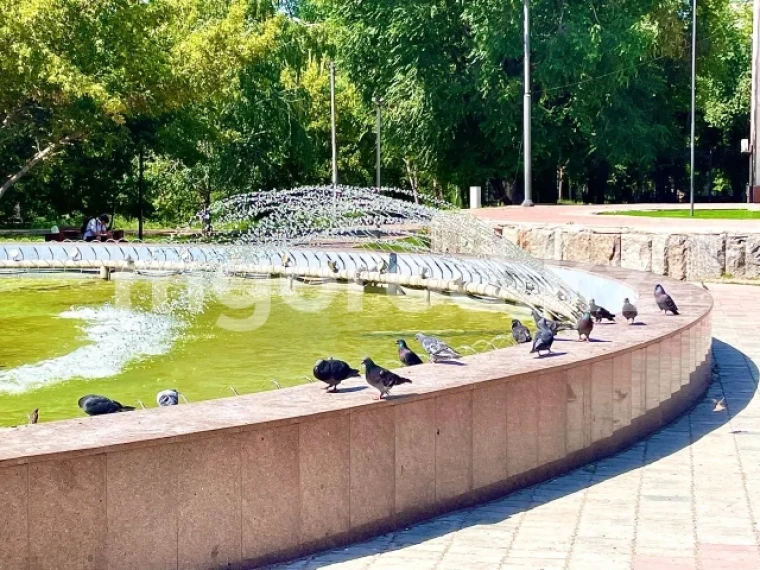 Трёхлетний ребёнок погиб в фонтане в Атырау | Мой Город Трёхлетний ребёнок погиб в фонтане в Атырау