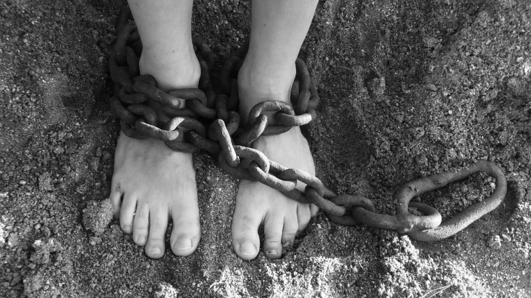 Усыновленных детей держали в рабстве в области Улытау | Мой Город Усыновленных детей держали в рабстве в области Улытау