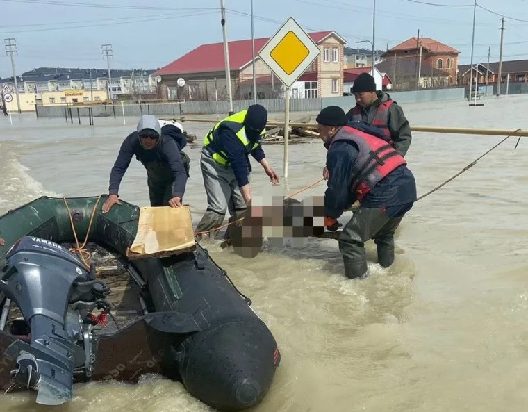 Тело мужчины вынесло из кладбища во время потопа в Атырау | Мой Город Тело мужчины вынесло из кладбища во время потопа в Атырау