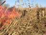 Три дня тушили крупный пожар в резервате Атырауской области