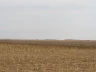 БҚО-да пайданылмаған жер телімдері мемлекет меншігіне қайтарылды