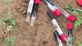 Пробирки с кровью на свалке в ЗКО: санврачи выяснили, откуда взялись опасные отходы